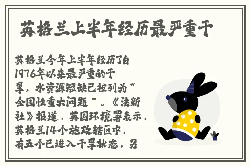 小东西才一根黄瓜而已的推荐书