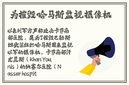 打开腿就能吃到扇贝